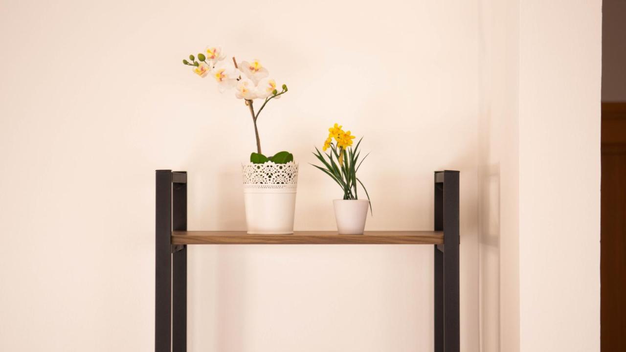 דירות סראייבו Beautiful Duplex In Heart Of Old Town - Free Parking מראה חיצוני תמונה